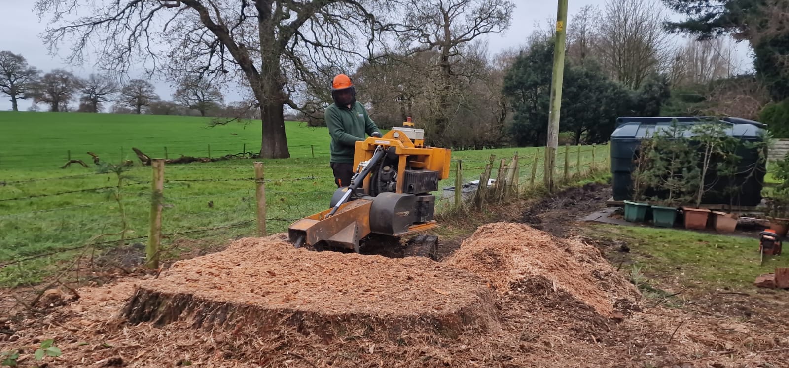 Tree stump removal service in Barking with stump grinder